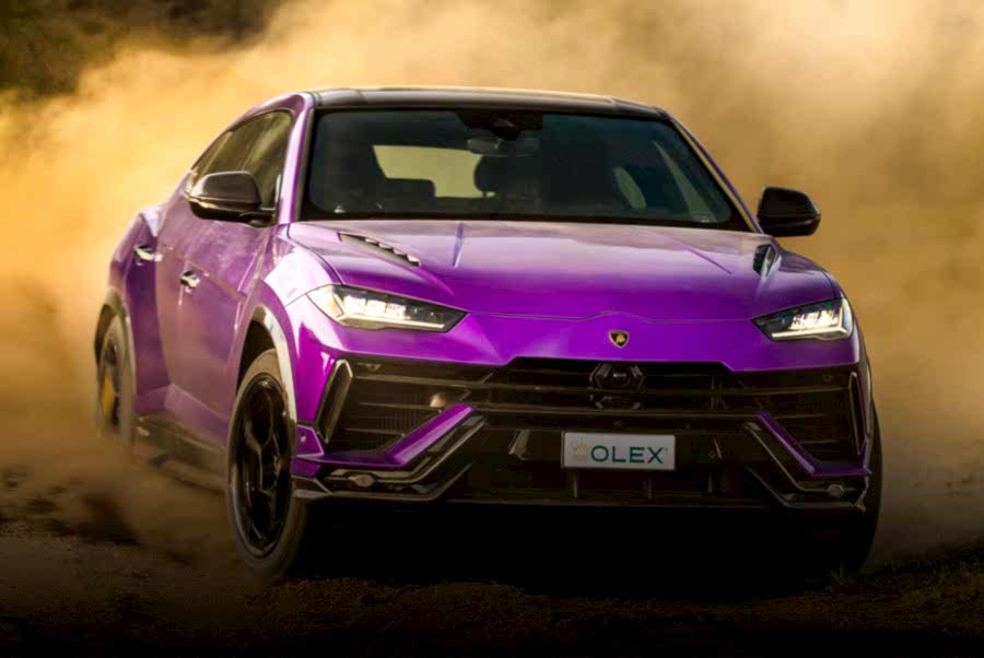 Boya Koruma Filmleri (PPF)